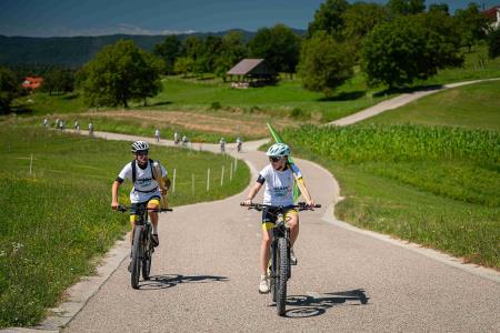 Slovenska bakla_SEMIČ_21